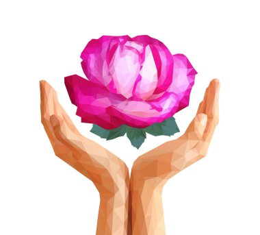 poligonal gül renkli götürdü elinde