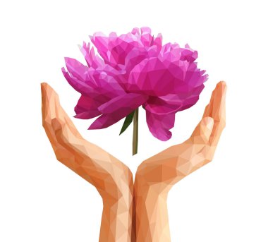 Poligonal Şakayık çiçeği Cupped ellerde ayarla