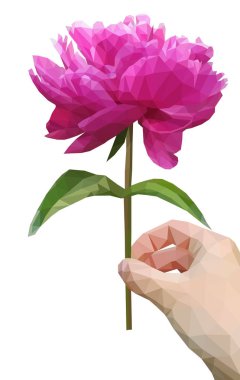 Poligonal Şakayık çiçeği sağ ellerini ayarla