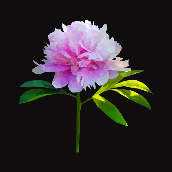 Fleur de pivoine polygonale avec feuilles — Image vectorielle