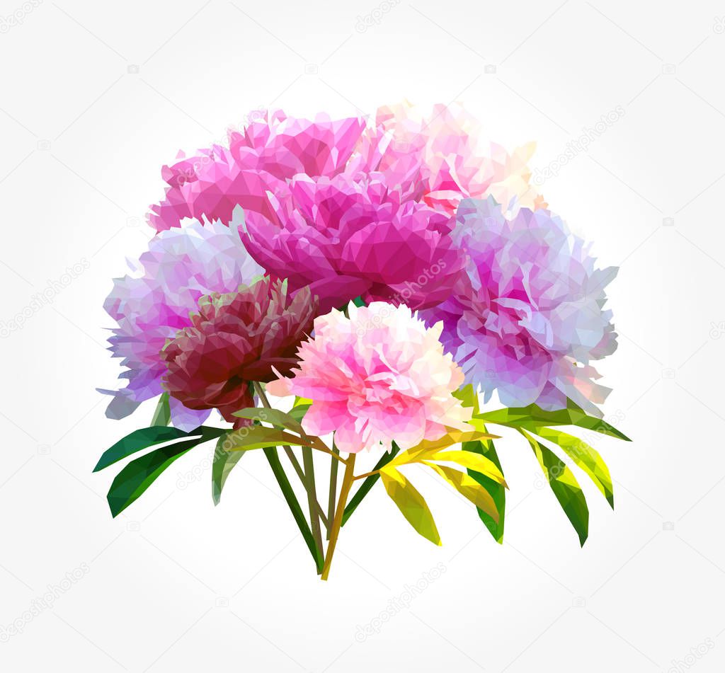 Bouquet polygonal peony flower with leaves on whie