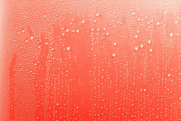 Gotas de agua sobre fondo rosa Textura colorida gota de agua con s —  Fotos de Stock