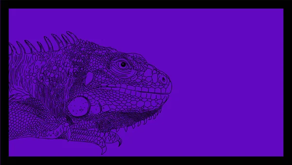 Iguana dibujado línea vectorial monocromo sobre púrpura — Vector de stock