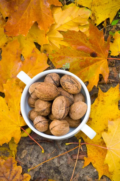 Vlašské ořechy v misce na pozadí z listí. — Stock fotografie