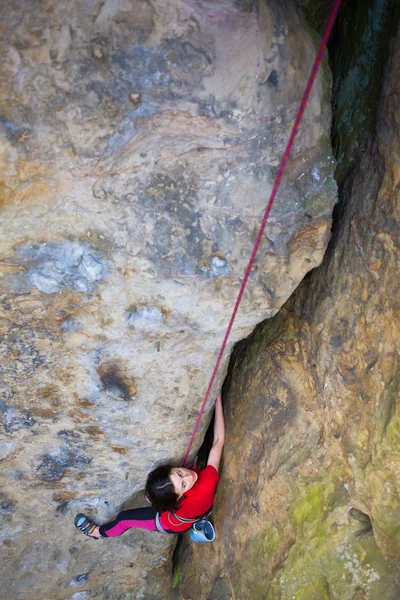 女の子登山. — ストック写真