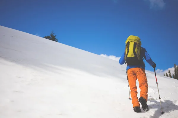 Bergklättrare promenader i en snöig backe. — Stockfoto