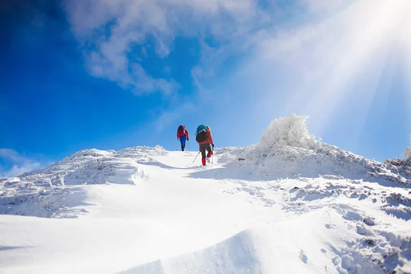 Los escaladores están en la pendiente de la nieve . — Foto de Stock