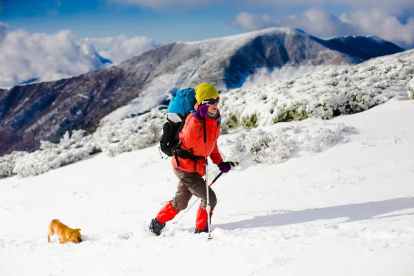 Ragazza con cane nelle montagne invernali . — Foto Stock