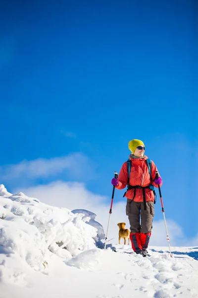 Mädchen mit Hund in den Winterbergen. — Stockfoto