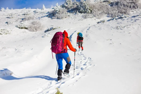 Los escaladores están en la pendiente de la nieve . — Foto de Stock