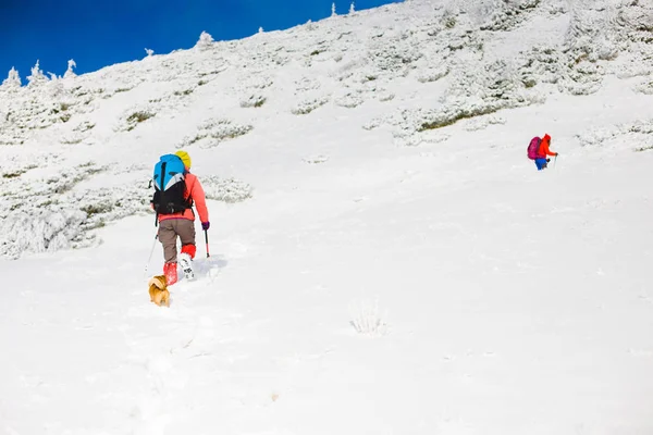 Ορειβάτες βρίσκονται στην πλαγιά του χιονιού. — Φωτογραφία Αρχείου