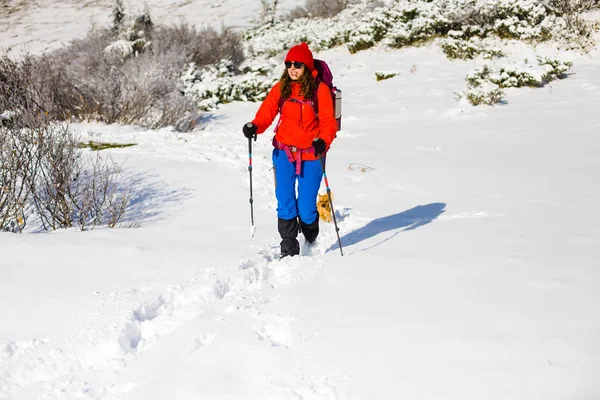 Menina com cão em montanhas de inverno . — Fotografia de Stock