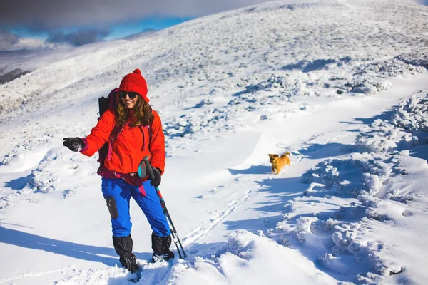 Flicka med hund i vinter berg. — Stockfoto