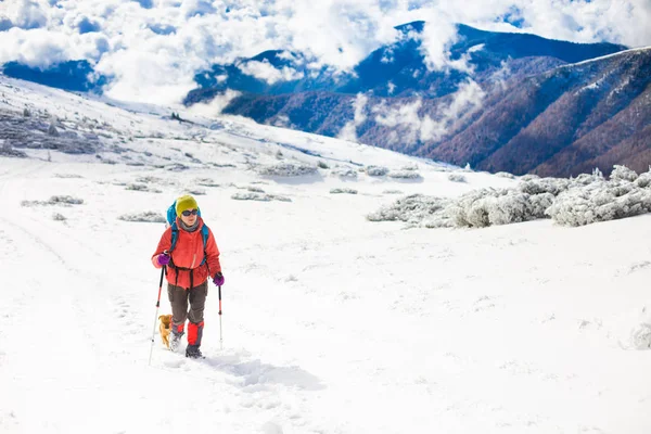 Chica con perro en las montañas de invierno . —  Fotos de Stock
