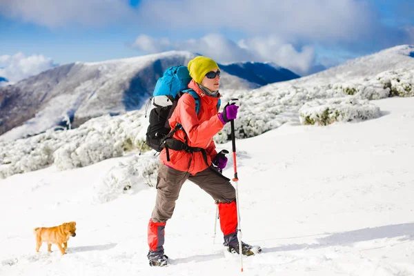Menina com cão em montanhas de inverno . — Fotografia de Stock