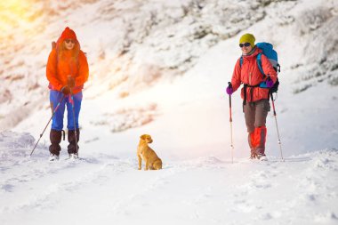 iki kız bir köpekle.