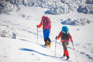 iki kız bir köpekle.