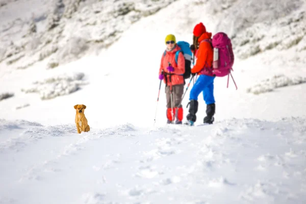 Due ragazze con un cane . — Foto Stock