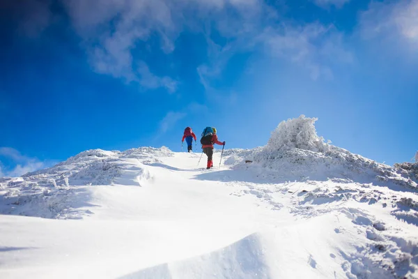 Os escaladores estão em declive de neve . — Fotografia de Stock