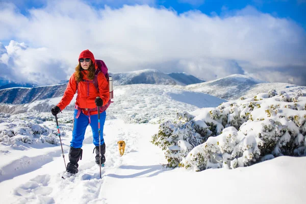 Девушка с собакой в зимних горах . — стоковое фото