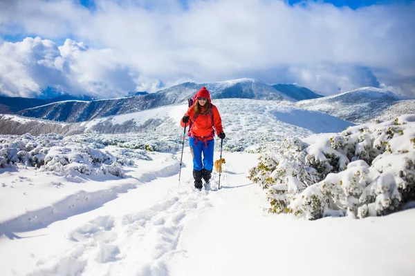 Fille avec chien en hiver montagnes . — Photo