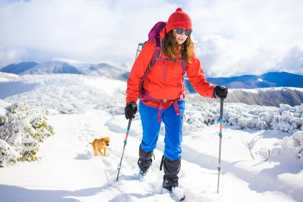 Fille avec chien en hiver montagnes . — Photo