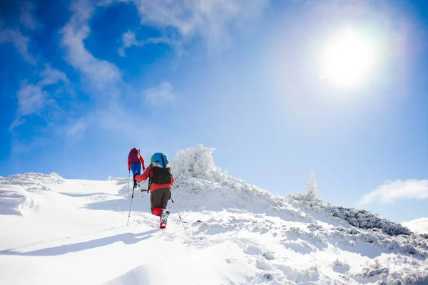 Horolezci jsou na sněhu. — Stock fotografie