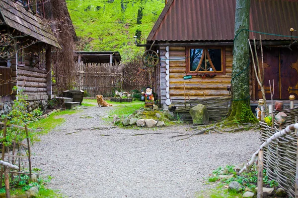 Dog sitting in the yard. — Stock Photo, Image