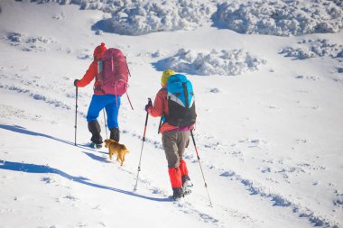 iki kız bir köpekle.