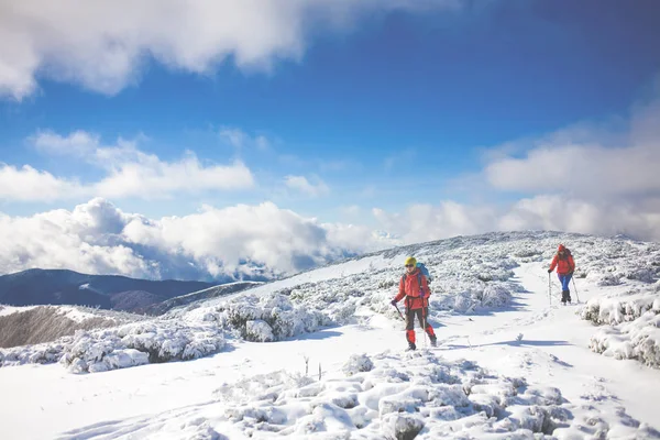 登山者が雪の上. — ストック写真