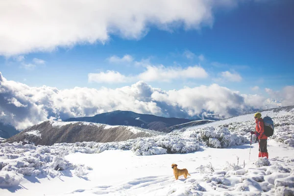 Dziewczyna z psem w górach zimą. — Zdjęcie stockowe