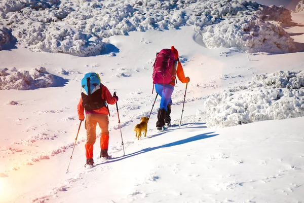 Two girls with a dog. — Stock Photo, Image