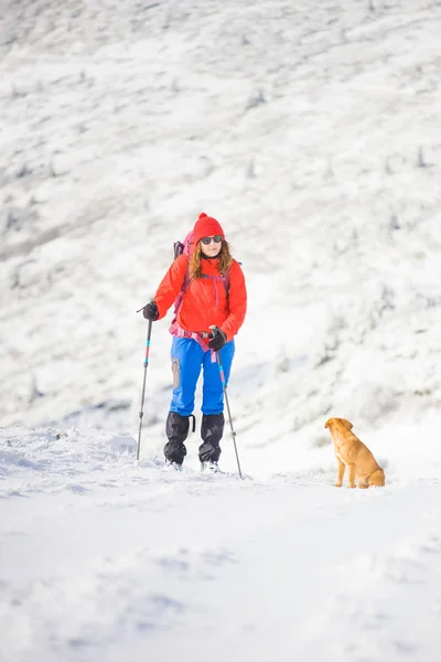 Ragazza con cane nelle montagne invernali . — Foto Stock