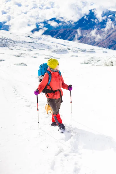 Girl with dog in winter mountains. — Stock Photo, Image