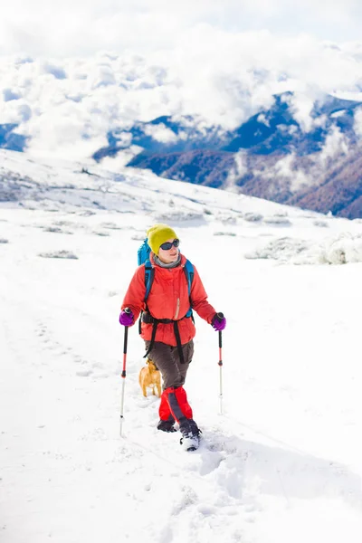 Mädchen mit Hund in den Winterbergen. — Stockfoto