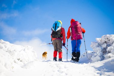 iki kız bir köpekle.
