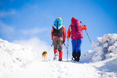 iki kız bir köpekle.