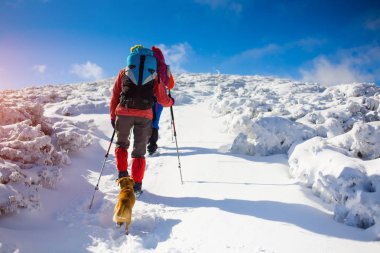 iki kız bir köpekle.