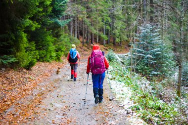 Sırt çantalı iki turist..