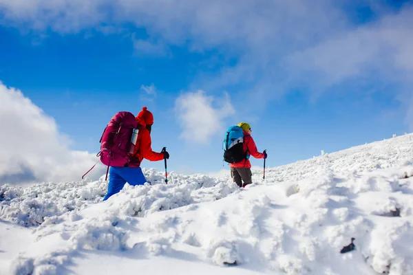 Los escaladores están en la nieve . — Foto de Stock