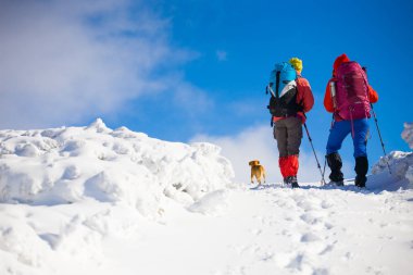 iki kız bir köpekle.