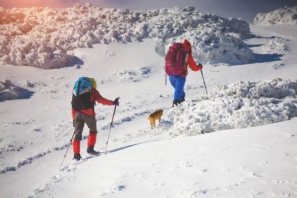 iki kız bir köpekle.