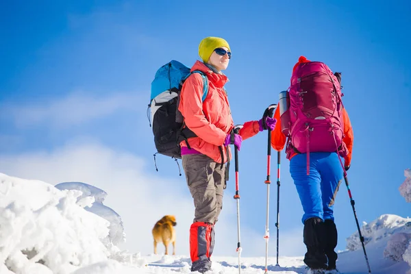 Due ragazze con un cane . — Foto Stock