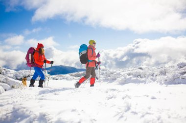 iki kız bir köpekle.