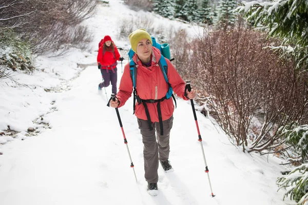 Los escaladores están en la nieve . — Foto de Stock