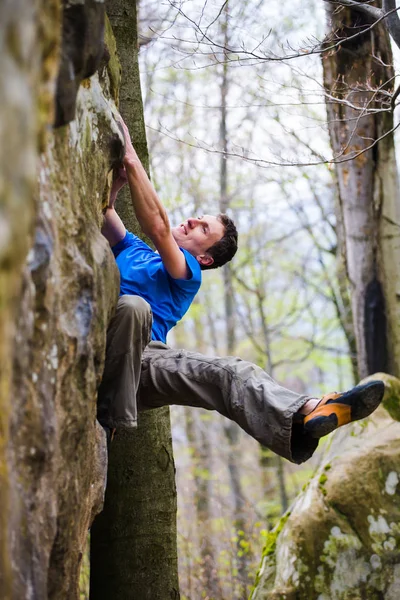 Clase bowdoinham en las rocas . — Foto de Stock