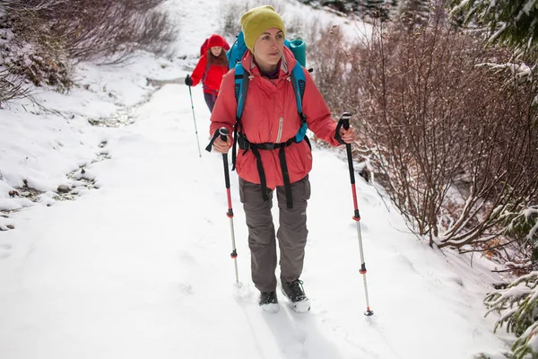 Klimmers zijn op sneeuw. — Stockfoto