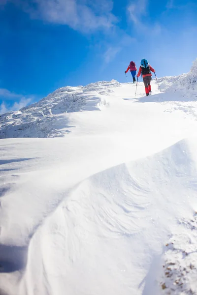 Gli scalatori sono sulla neve . — Foto Stock