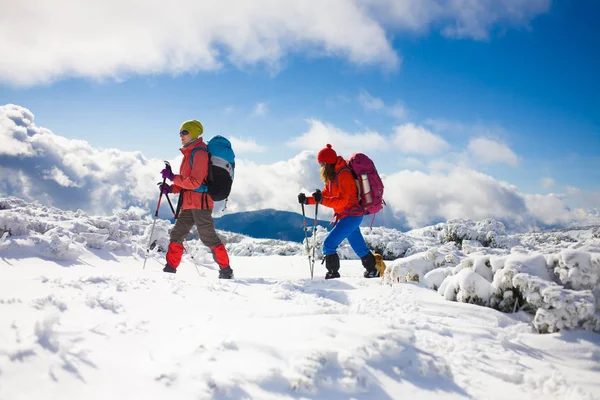 Альпинисты на снегу . — стоковое фото