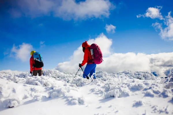 Os alpinistas estão na neve . — Fotografia de Stock